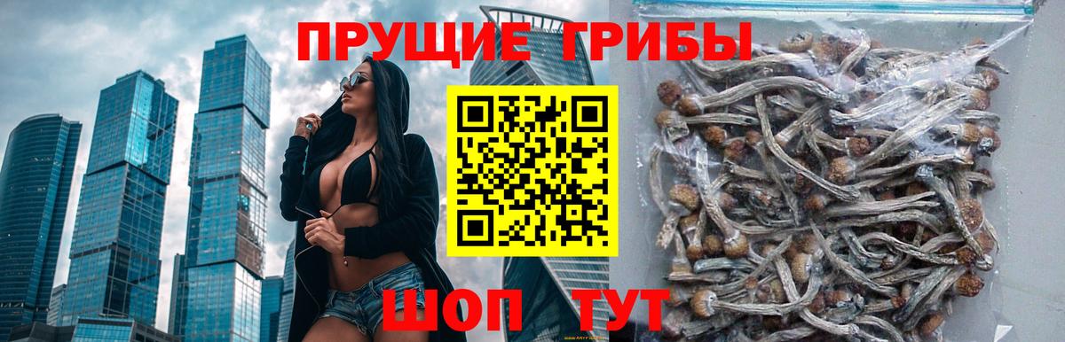 Псилоцибиновые грибы Magic Shrooms  Галлюциногенные грибы GOLDEN TEACHER  Белово  Вход с VPN 